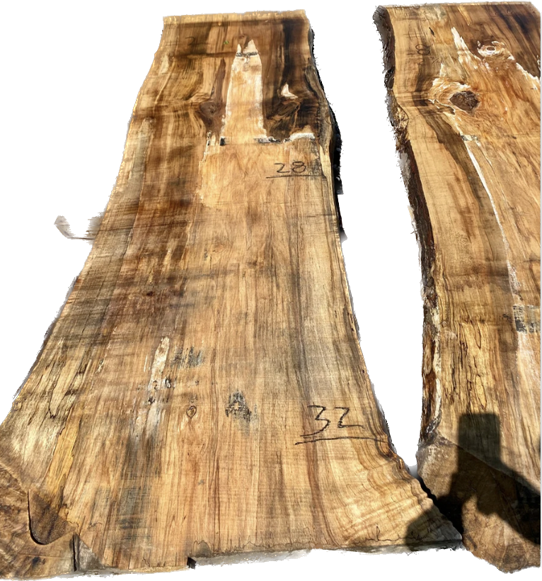 Soft Maple #3 image 0