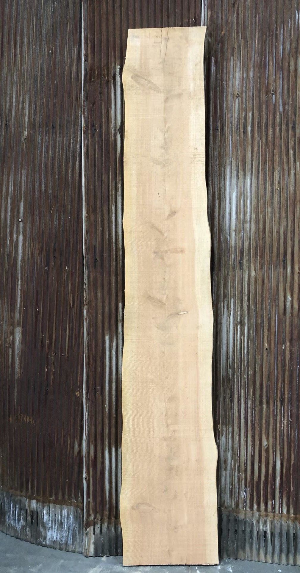 Clear Cedar Slab 003 image 0