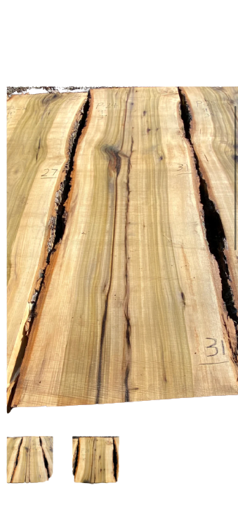 Poplar #15 image 0