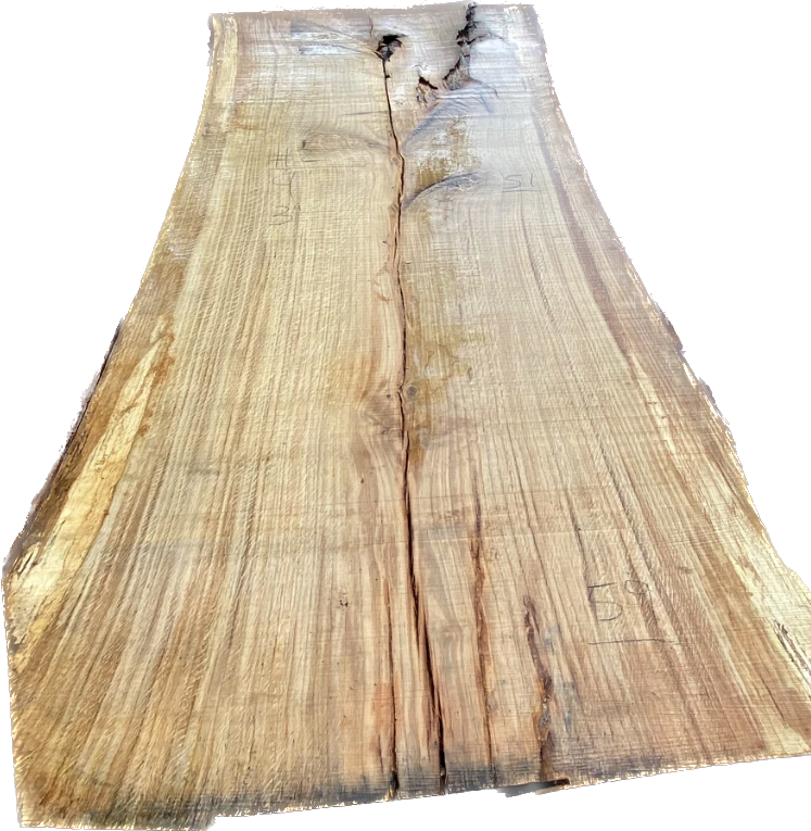 White Oak #8 image 0