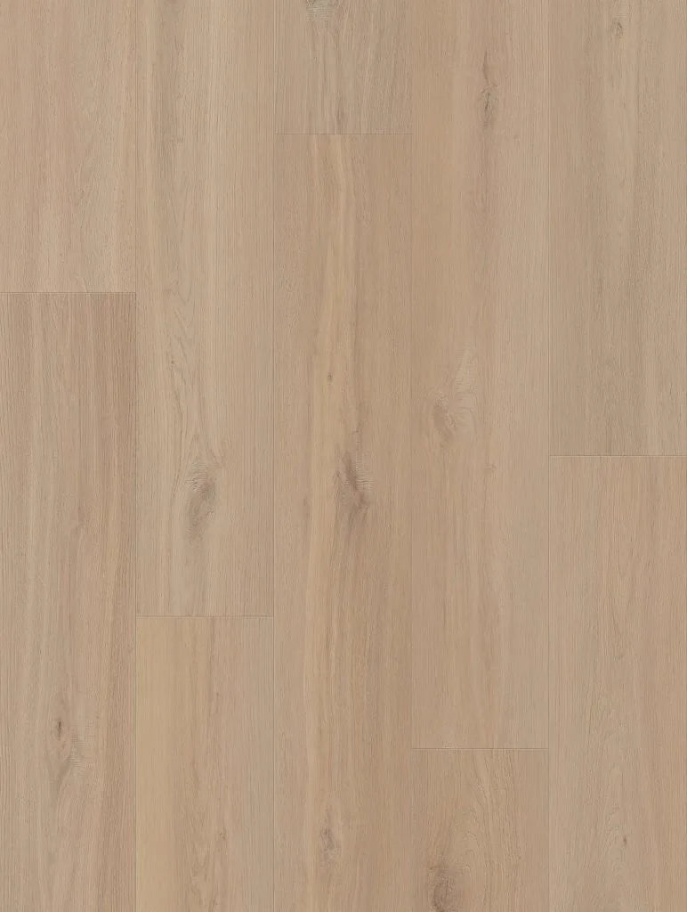 Country Aura | Lions Floor