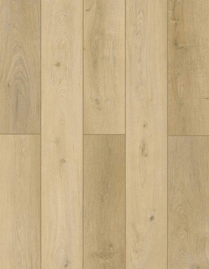 Sunnyside Up | Lions Floor