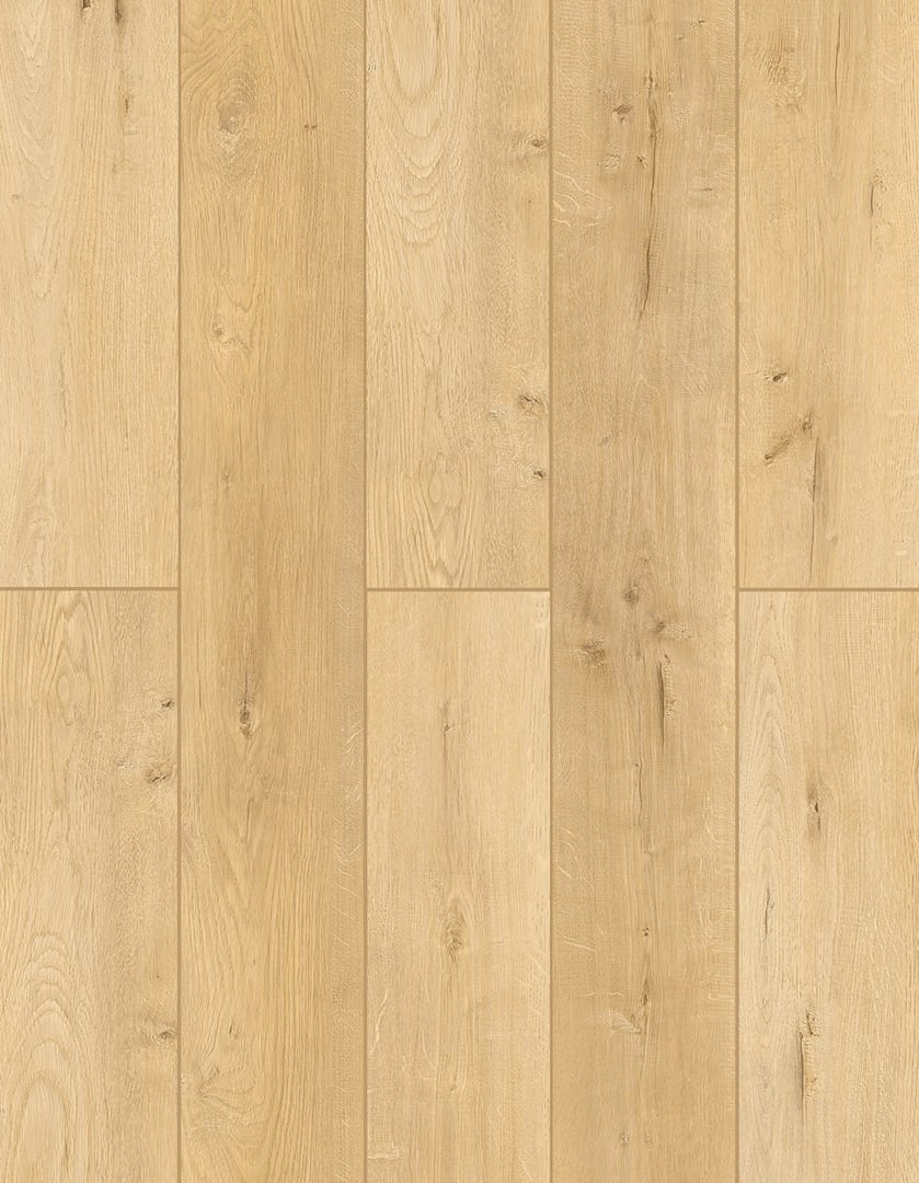 More Mesa | Lions Floor