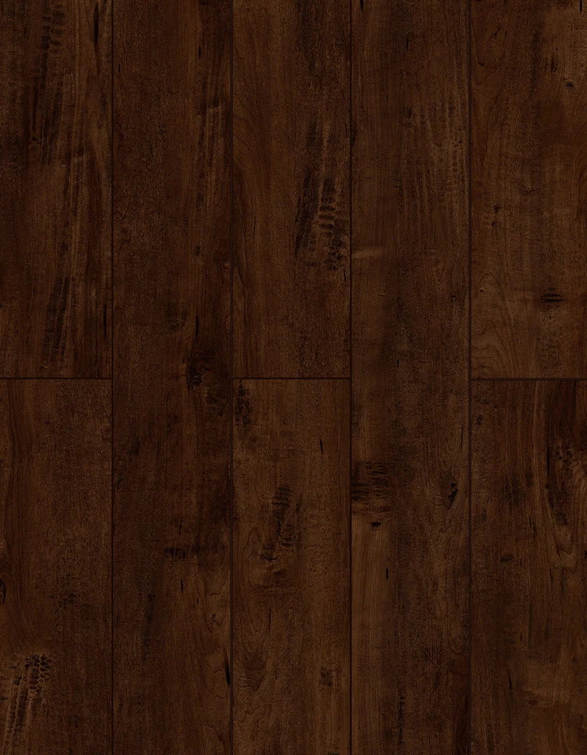 Saddle Brownie | Lions Floor