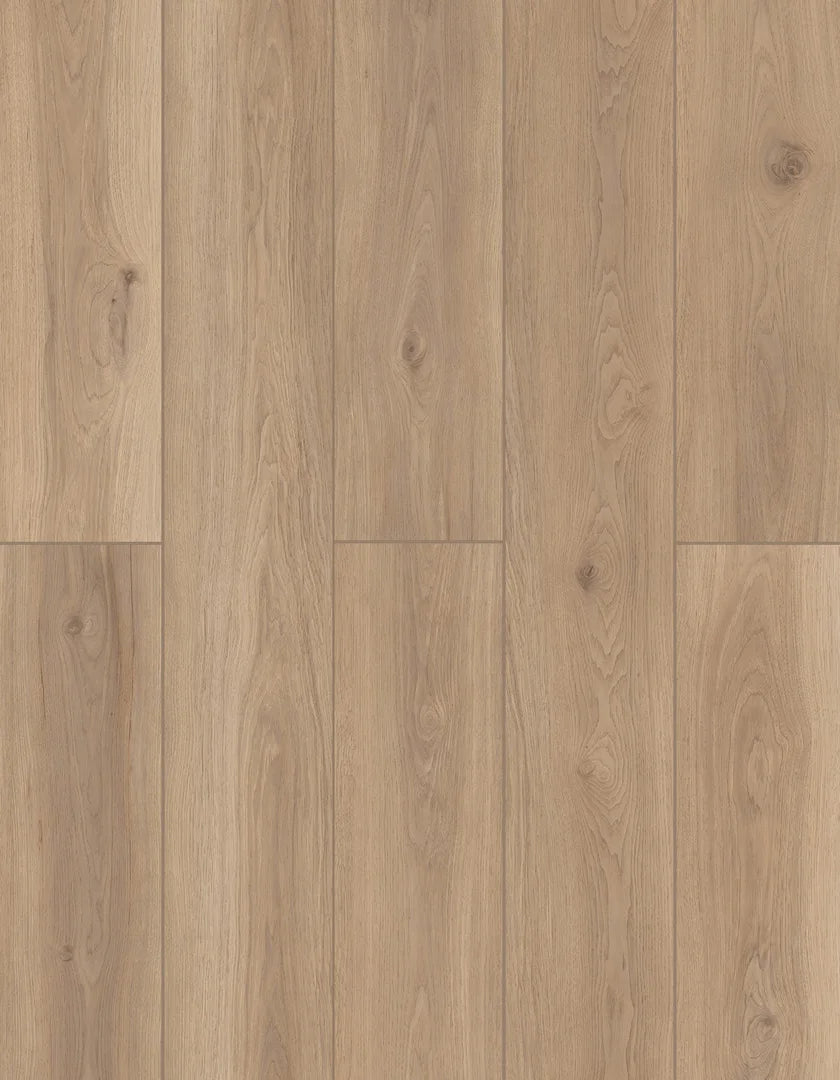 Artisan Touch | Lions Floor