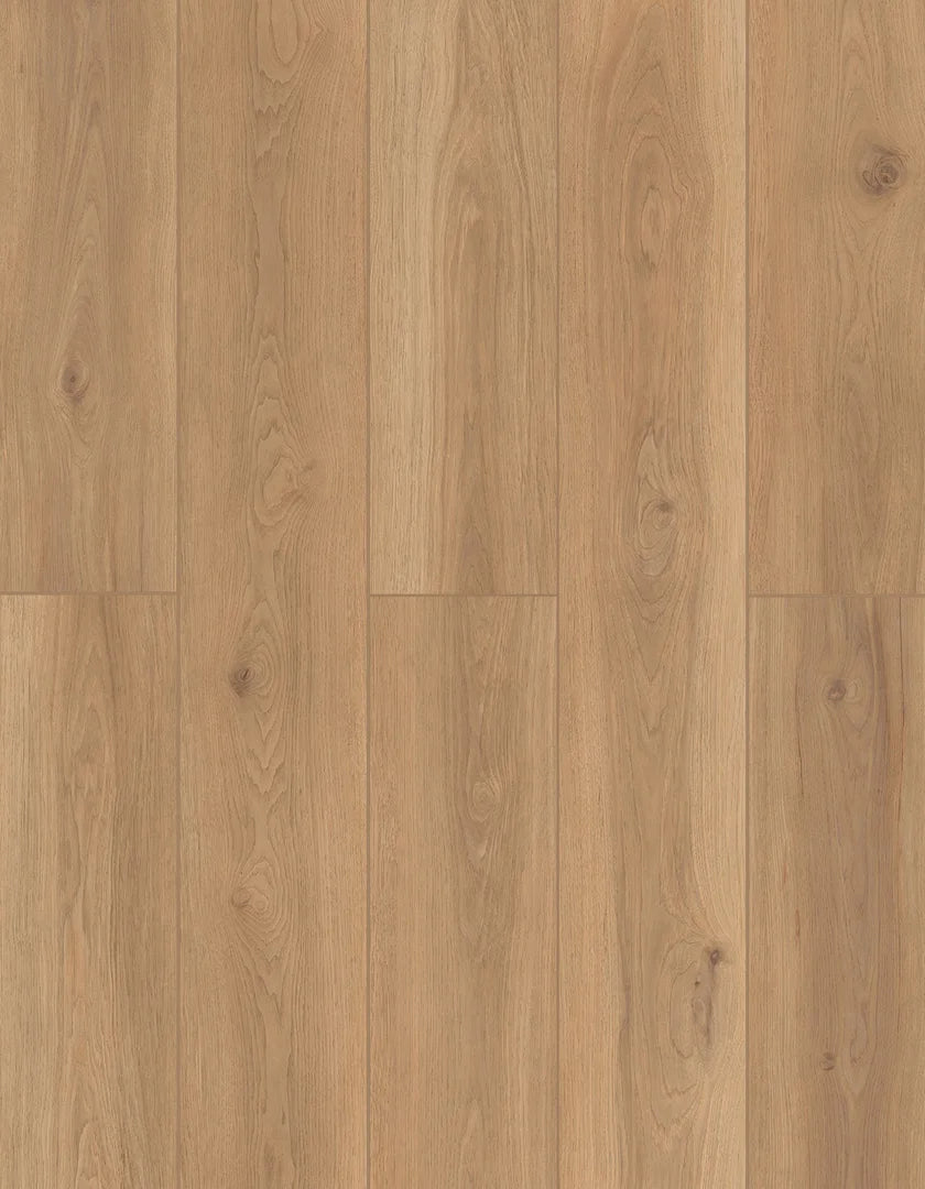 Backyard Garnish | Lions Floor