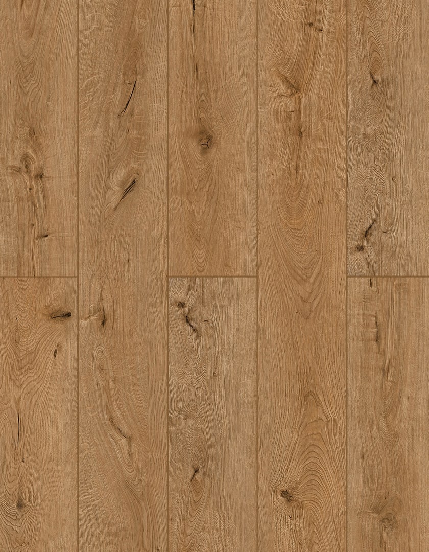 Oak Dry-Aged | Lions Floor