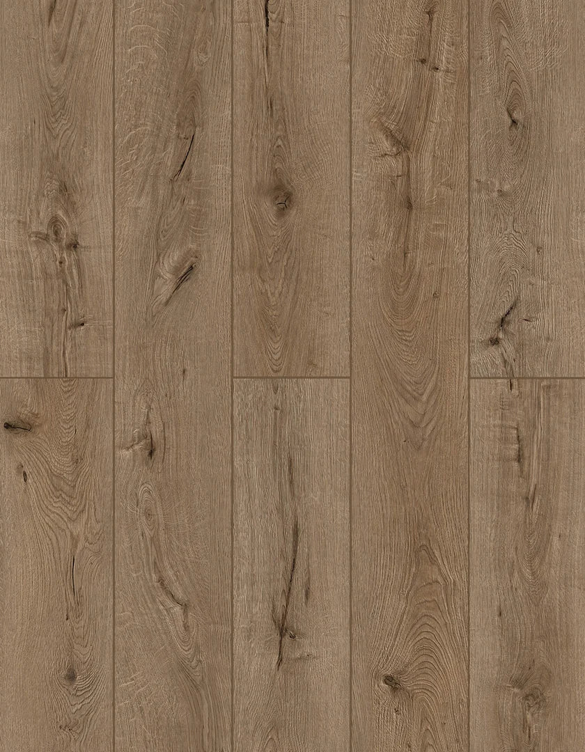 Forgotten Bark | Lions Floor