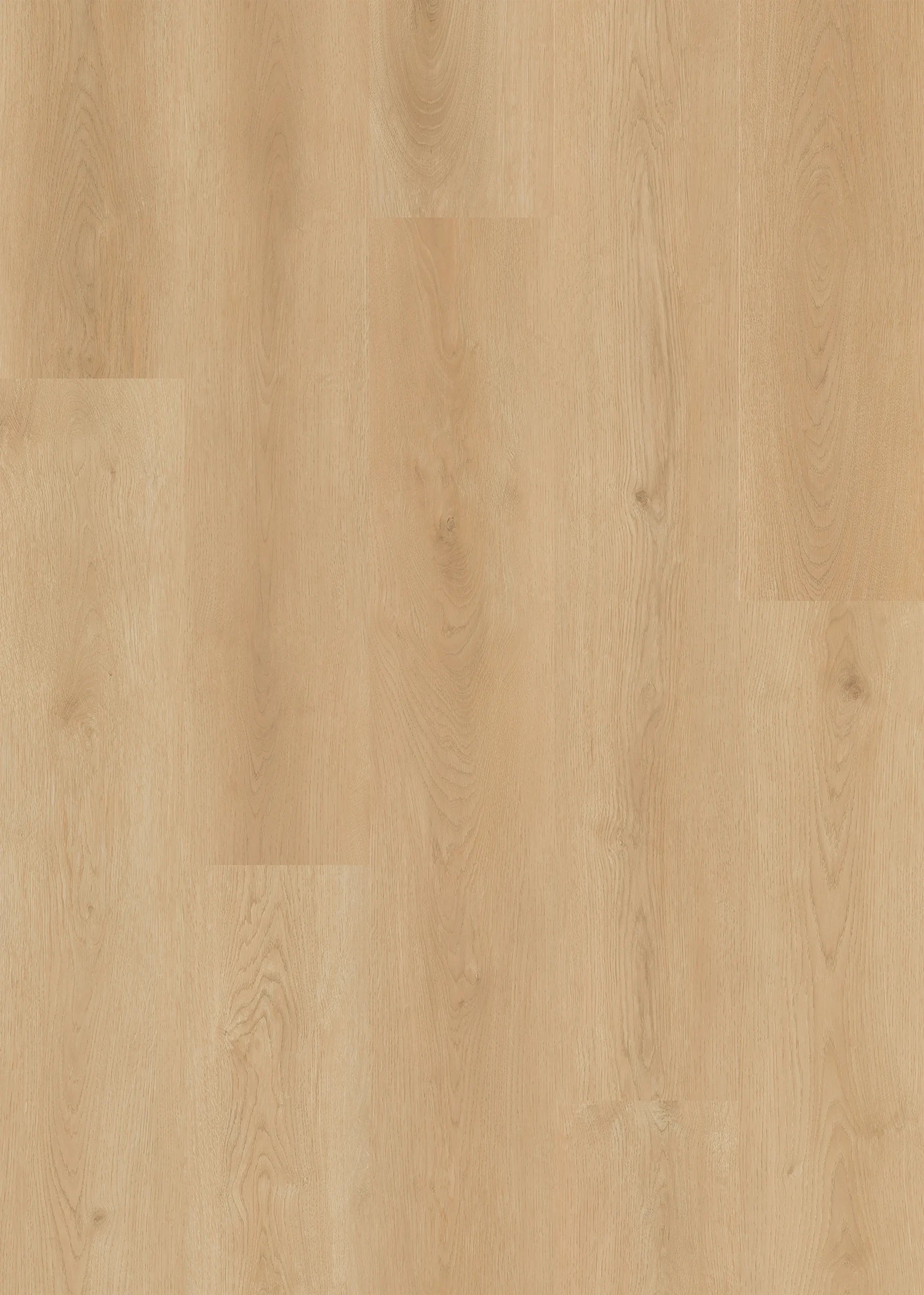 Billings | Lions Floor