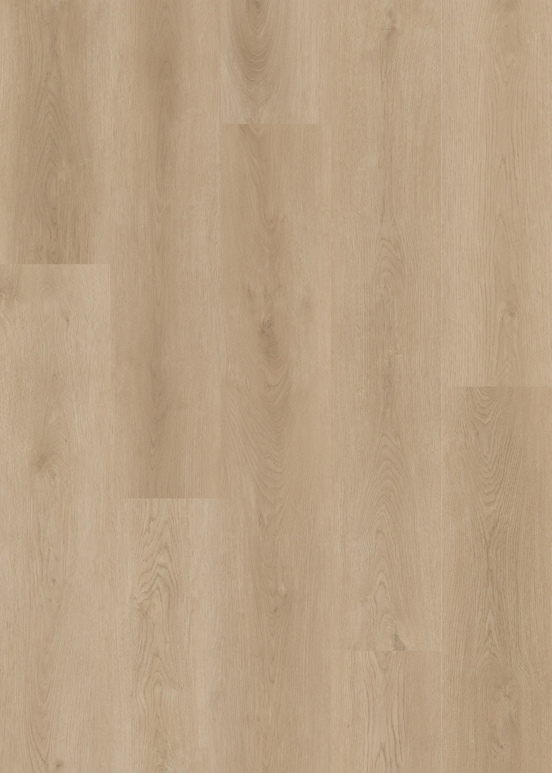 Chesterbrook | Lions Floor