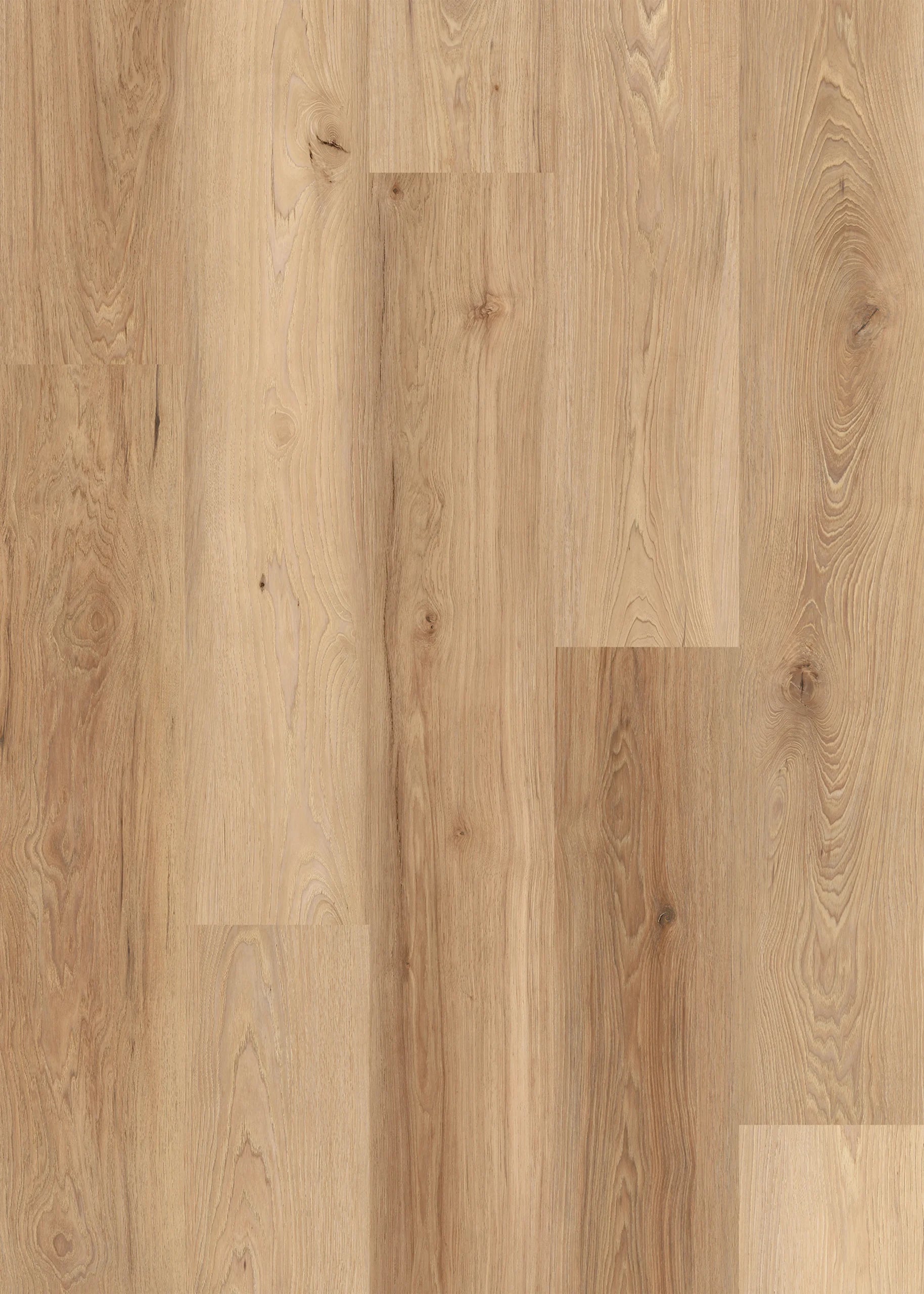 Brighton | Lions Floor