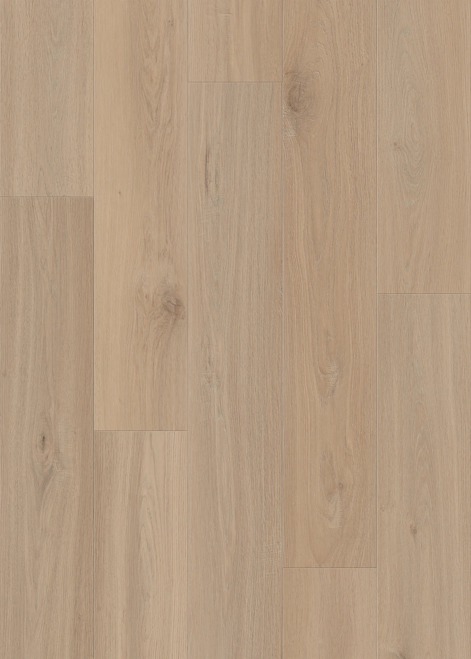 East Aspen | Lions Floor