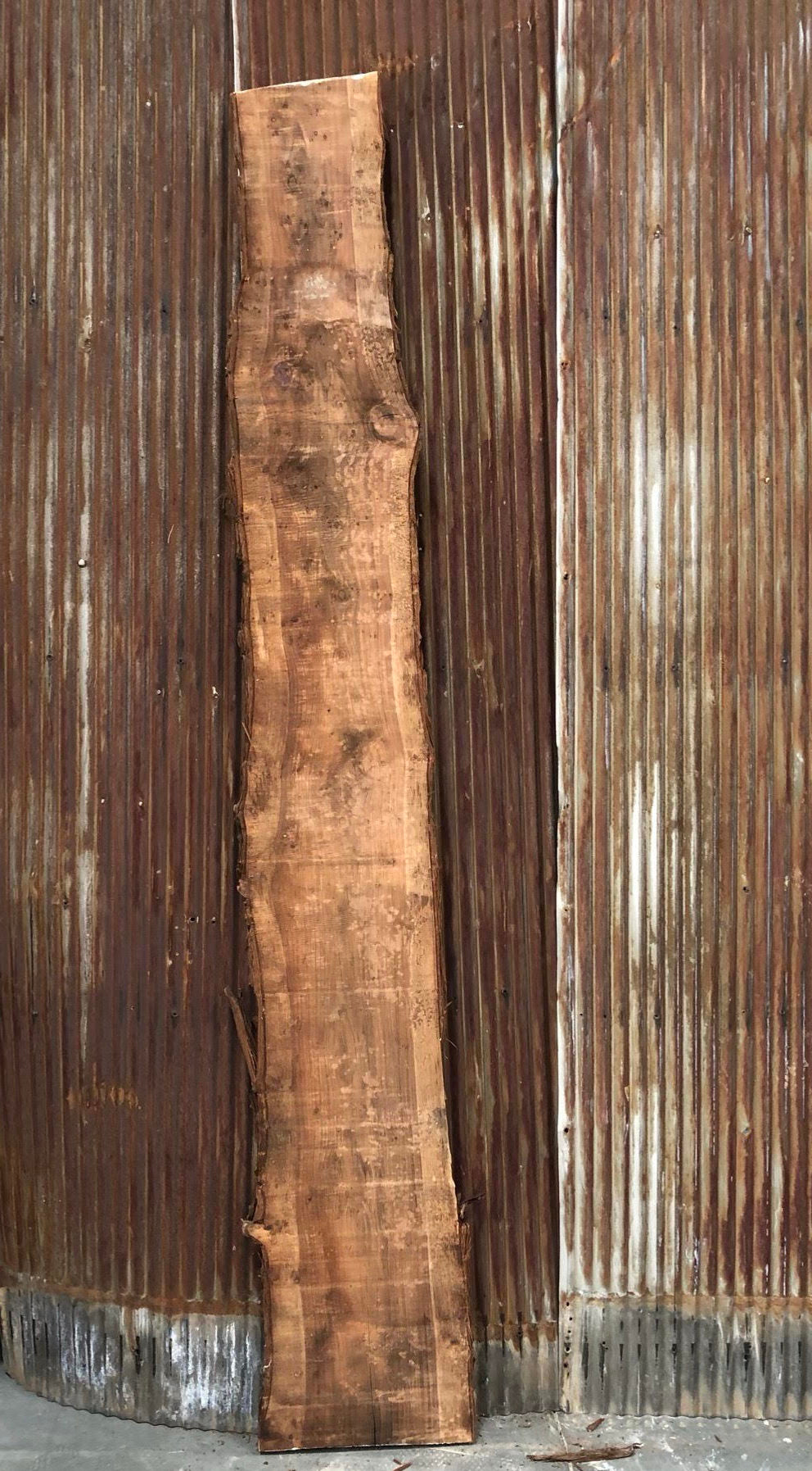 Red Cedar Slab 009 image 0