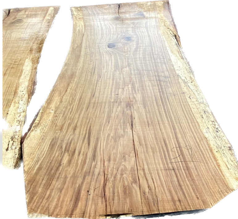 White Oak #9 image 0