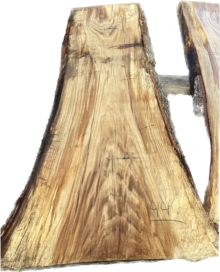 White Oak #11 image 0