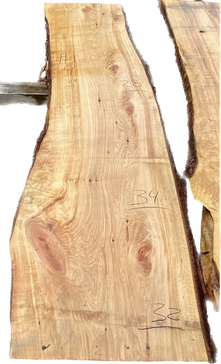 Soft maple Slab #1 image 0