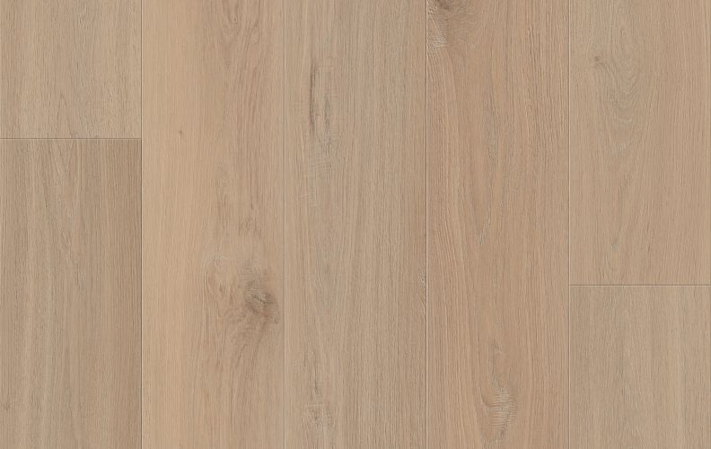 Carmel | Lions Floor