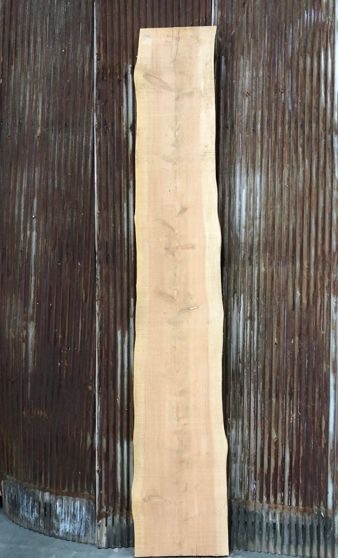 Clear Cedar Slab 004 image 0