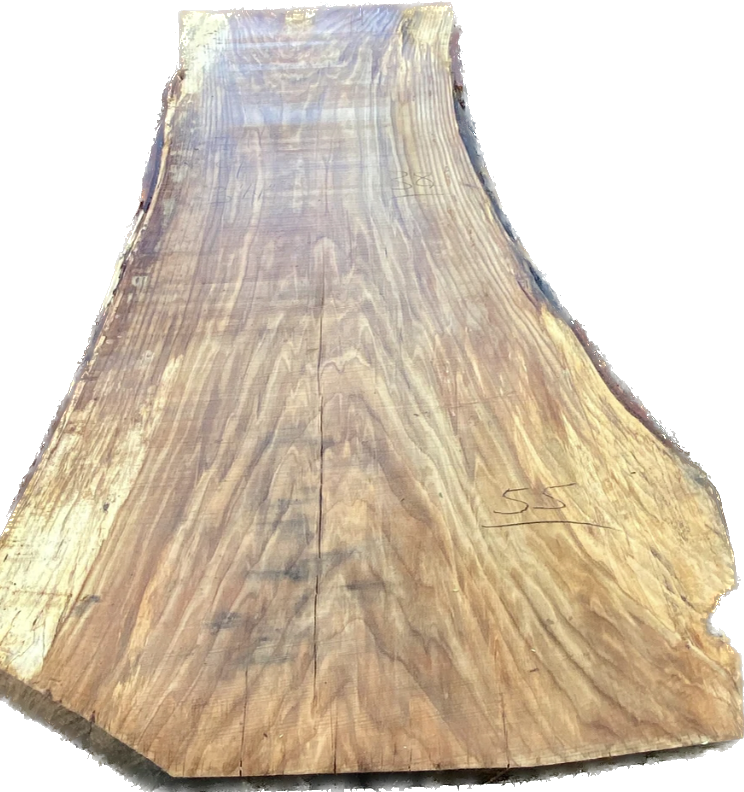 White Oak #10 image 0