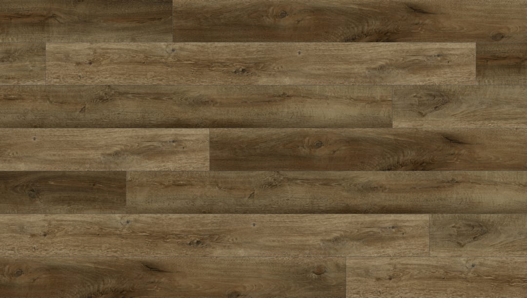 Ganache | Lions Floor