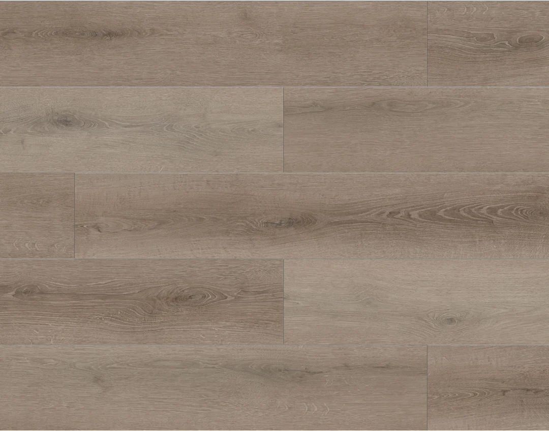 Coffee Feather | Lions Floor