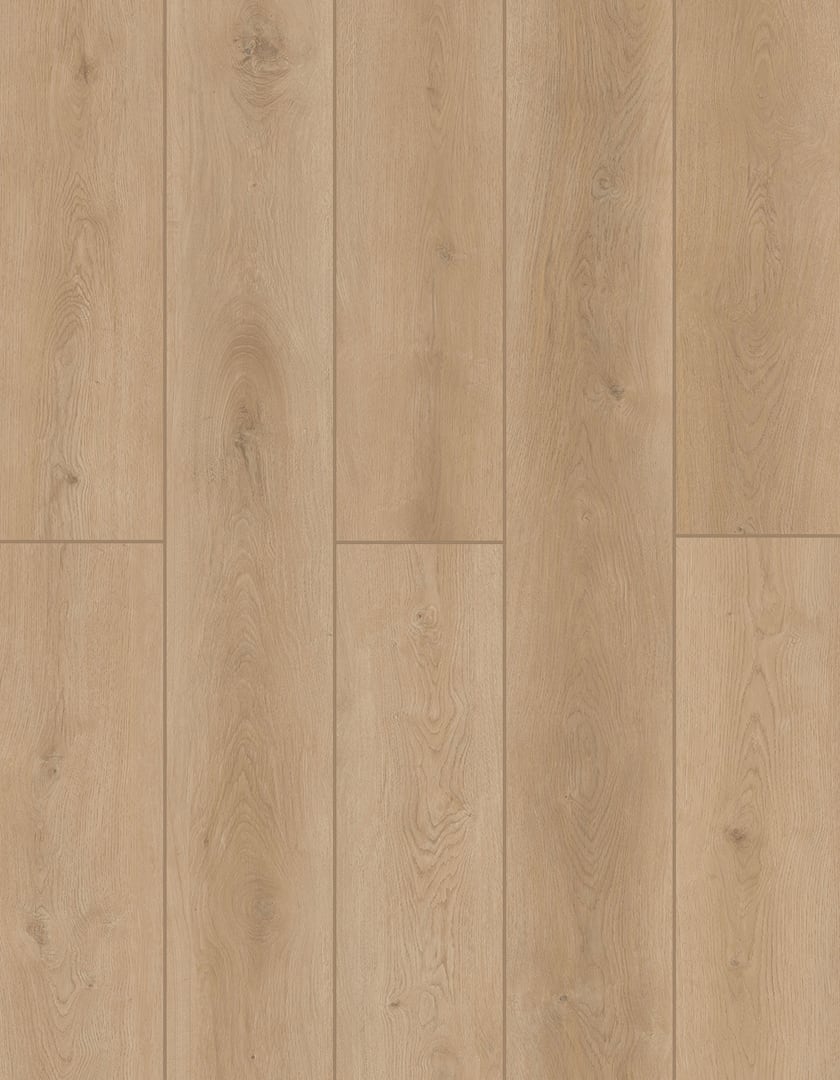 Forest Timber | Lions Floor