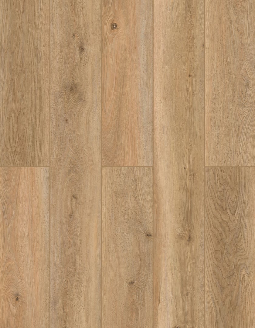 Shoreline Decor | Lions Floor