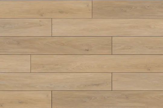 Evergreen | Lions Floor