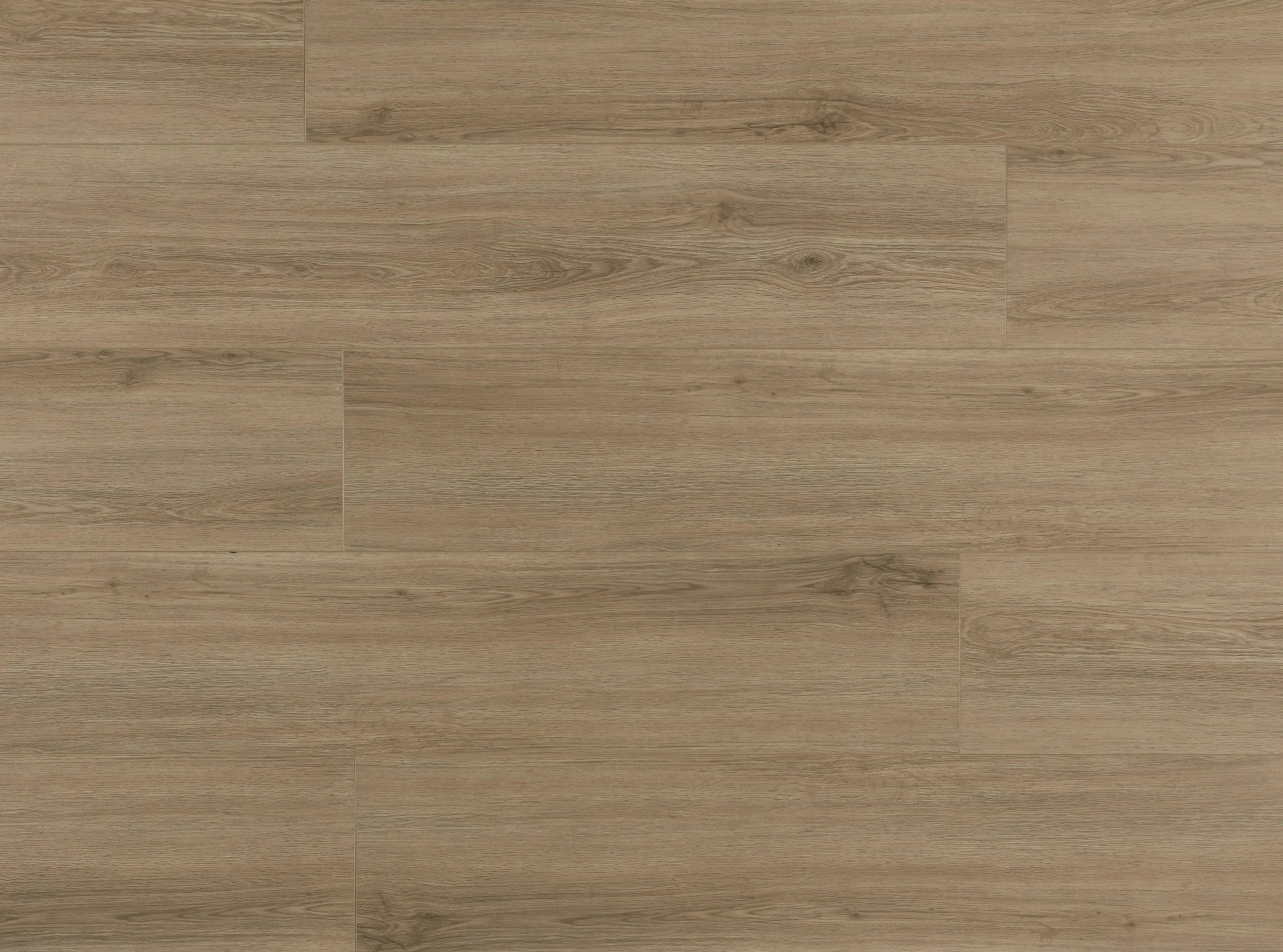 Candela Amber | Lions Floor