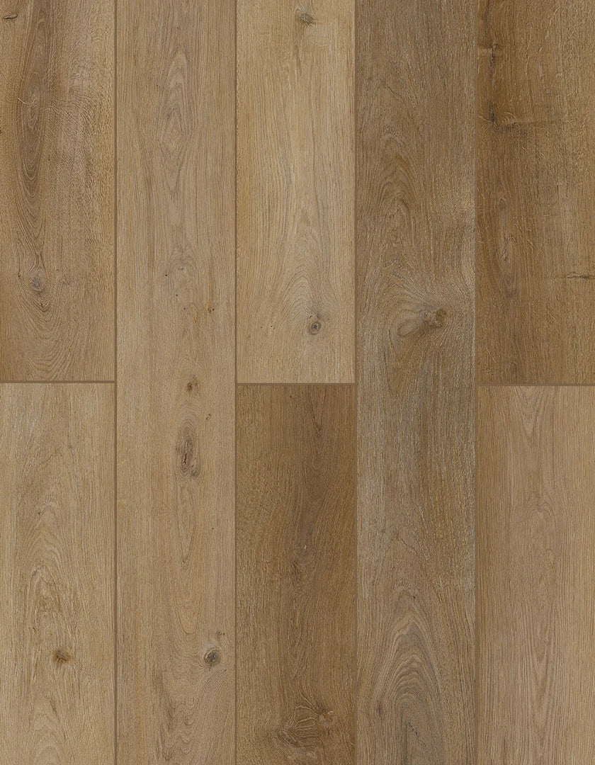 Toffeenut Umber | Lions Floor