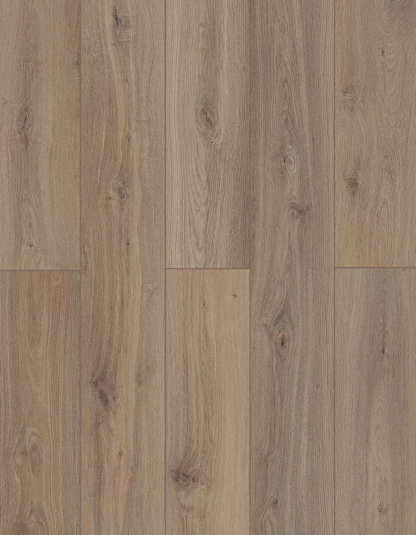 Shangri La | Lions Floor