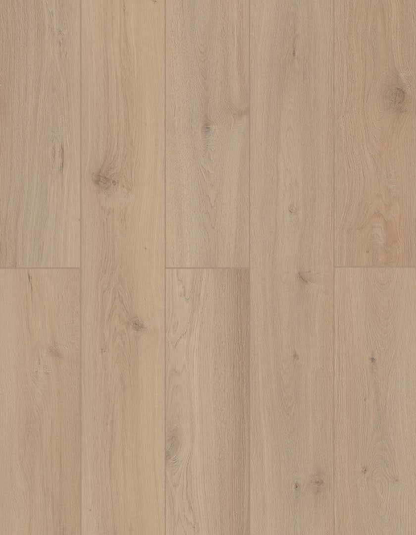 Sea Shell | Lions Floor