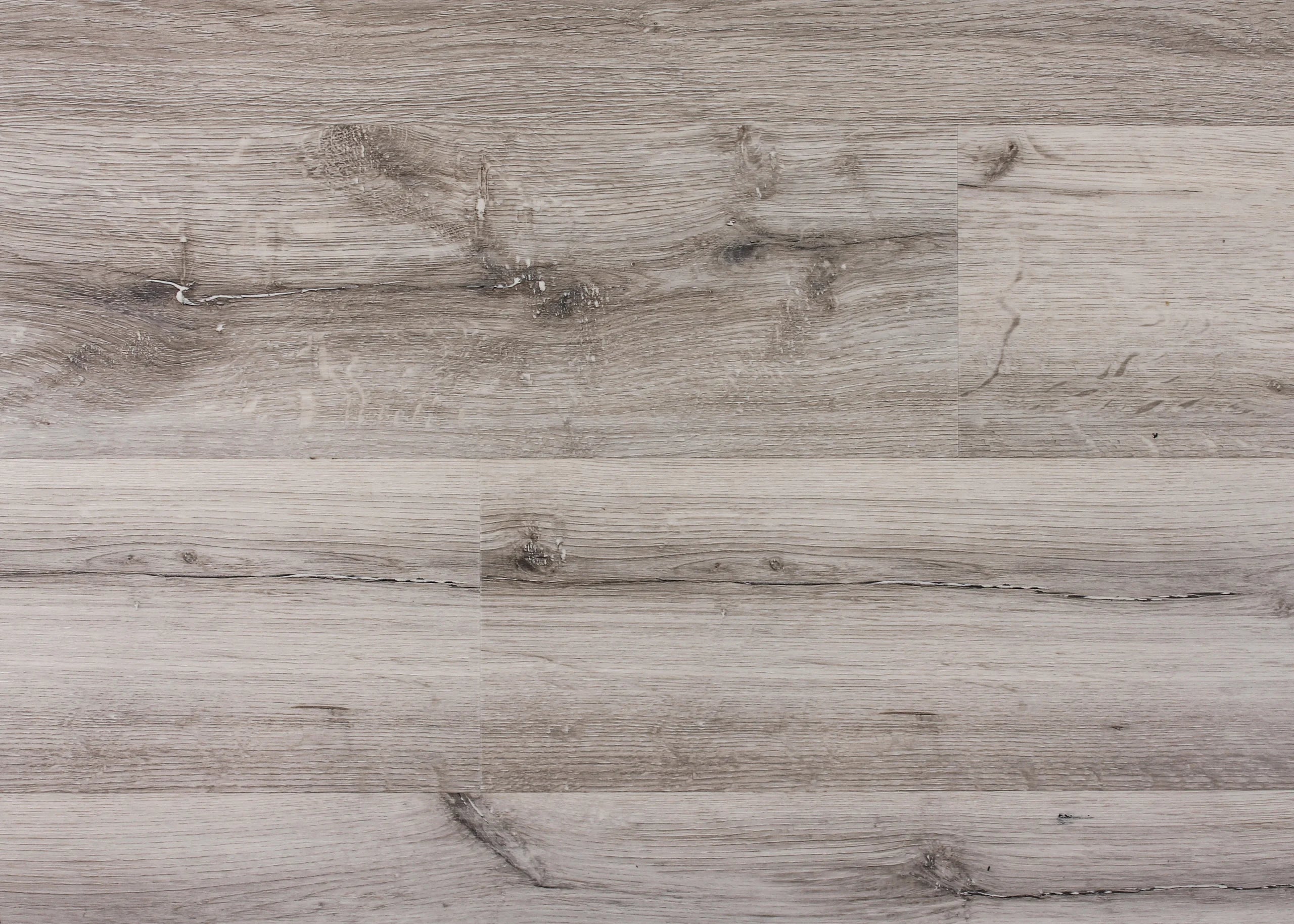 Grey Horizon | Lions Floor
